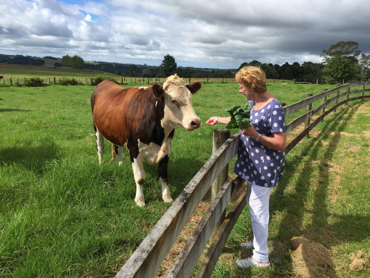 Country House B&B Waimate North Экстерьер фото
